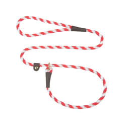 Candy Cane Training Leash