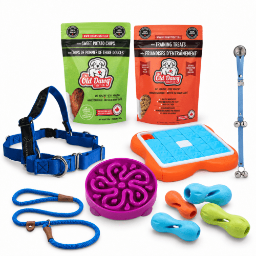Ultimate Puppy Homecoming Pack