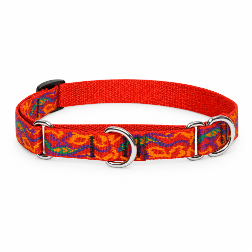 Lupine® Originals Collection Go Go Gecko Combo Collar