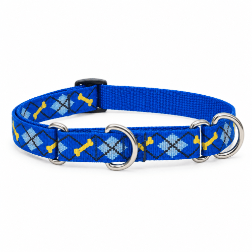 Lupine® Originals Collection Dapper Dog Combo Collar