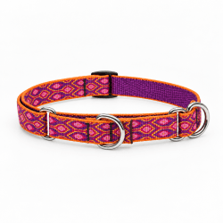 Lupine® Originals Collection Alpen Glow Combo Collar