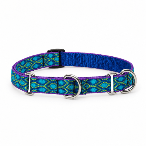 Lupine® Originals Collection Turtle Reef Combo Collar