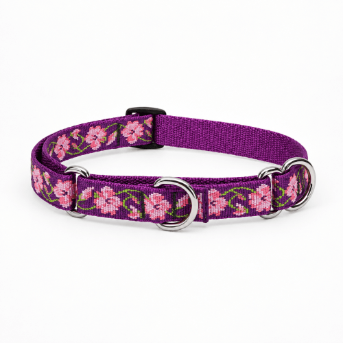 Lupine® Originals Collection Rose Garden Combo Collar