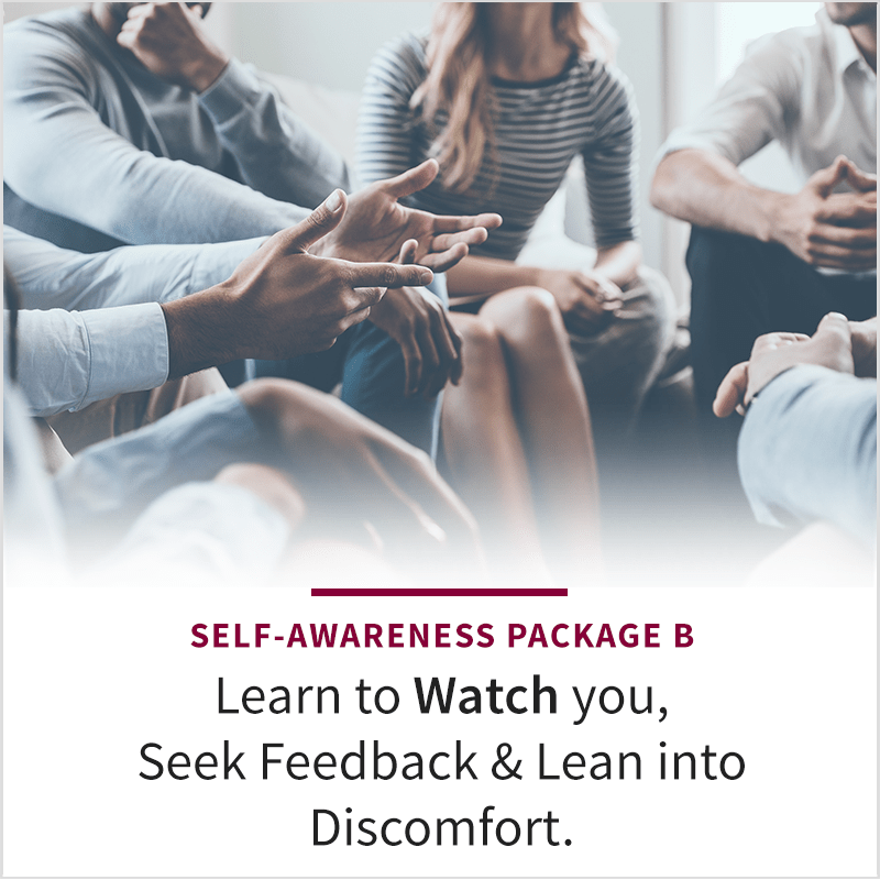 Self-Awareness Podcast Package B