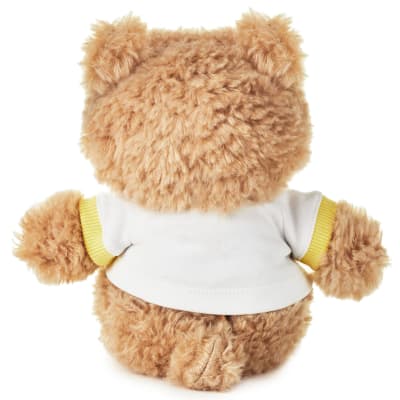 Welcome Baby Recordable Teddy Bear Stuffed Animal
