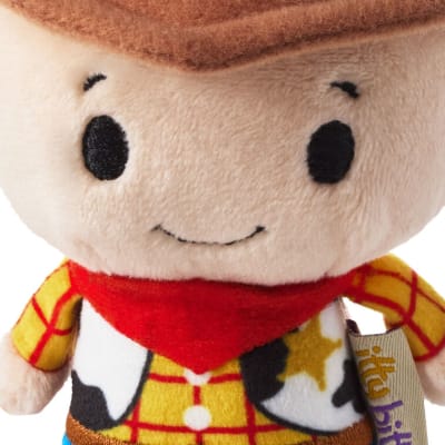 itty bittys® Disney Toy Story Woody Plush With Sound