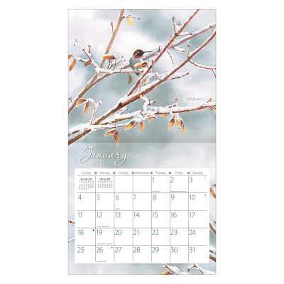 Lang 2026 Calendar | Hummingbirds