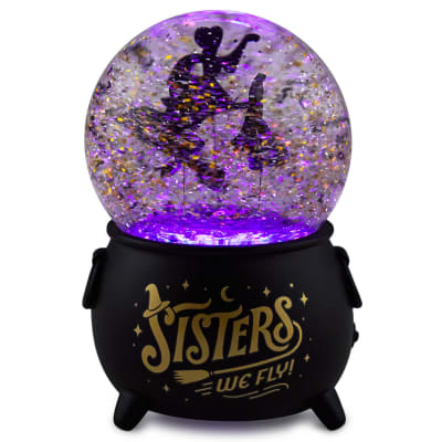 Disney Hocus Pocus Sanderson Sisters Snow Globe With Light