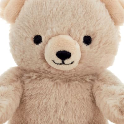 Bear Plush Gift Card Holder