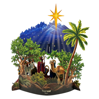FreshCut Paper | Starlit Nativity Pop-Up Bouquet With Card