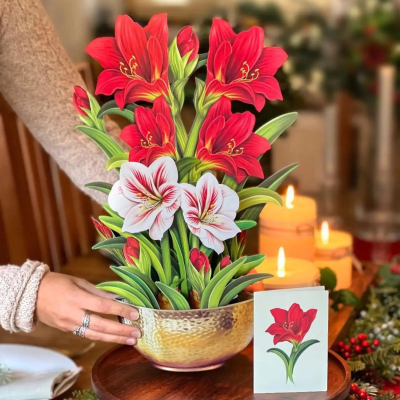 FreshCut Paper | Christmas Scarlet Amaryllis Pop-Up Bouquet With Card