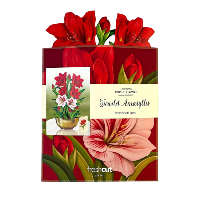 FreshCut Paper | Christmas Scarlet Amaryllis Pop-Up Bouquet With Card