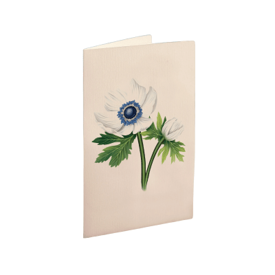 FreshCut Paper | Blue Poinsettia Pop-Up Bouquet With Card