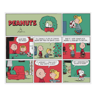 Peanuts® Christmas Comic Strip Throw Blanket