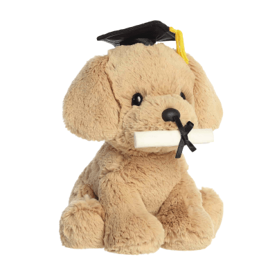 Aurora® Graduation Retriever Pup Plush