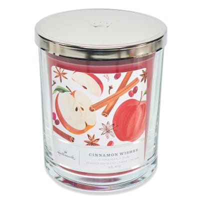 Cinnamon Wishes Scented 3-Wick Candle