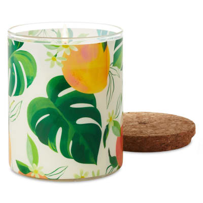 Mandarin Orange and Grapefruit Scented 2-Wick Jar Candle