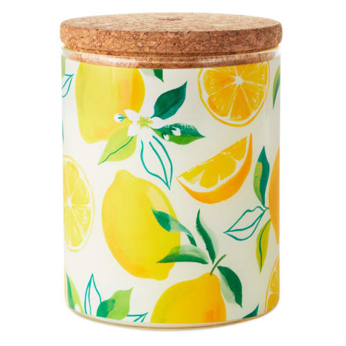Meyer Lemon and Lemon Zest Scented 2-Wick Jar Candle