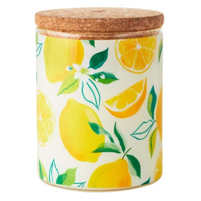 Meyer Lemon and Lemon Zest Scented 2-Wick Jar Candle