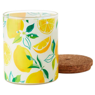 Meyer Lemon and Lemon Zest Scented 2-Wick Jar Candle