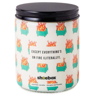 Dumpster Fire Everything's Fine Scented Single-Wick Jar Candle