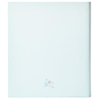 Little Blessings First Five Years Baby Book