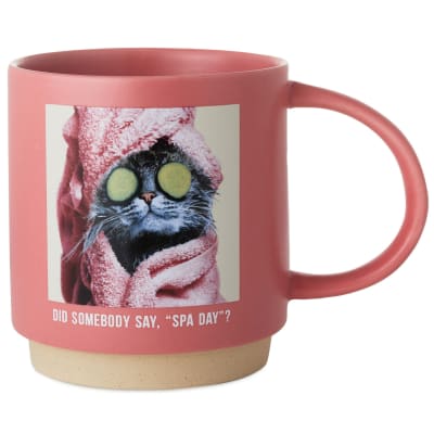 Cat Spa Day Funny Mug