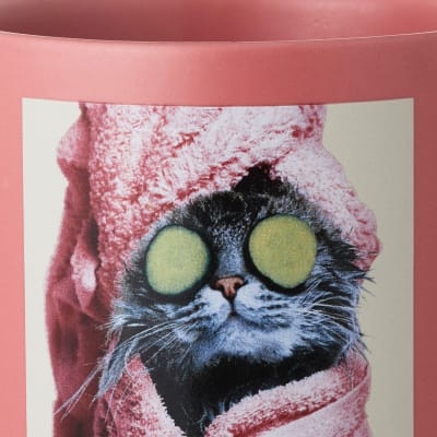 Cat Spa Day Funny Mug