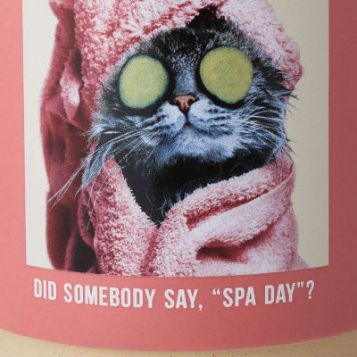 Cat Spa Day Funny Mug