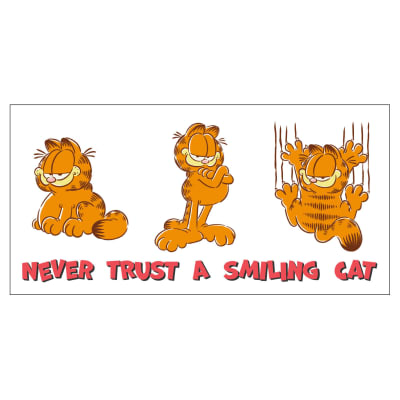Nickelodeon Garfield Smiling Cat Collectible Drinking Glass