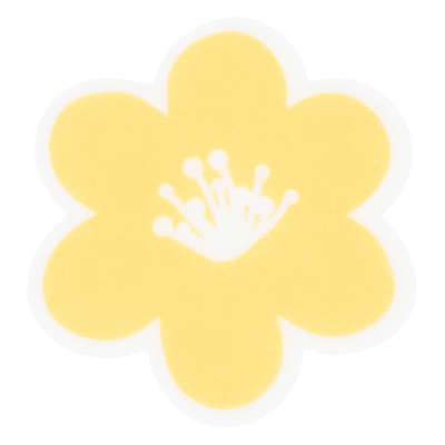 Grateful Garden 'Make Everyday Special' Mug and Coaster Set