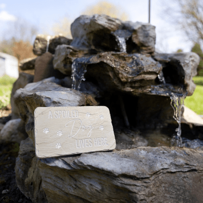 Stones With Stories 'A Spoiled Dog Lives Here' Rectangular Garden Stone