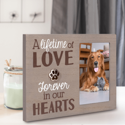 Malden 'A Lifetime of Love, Forever In My Heart' Pet Remembrance Picture Frame