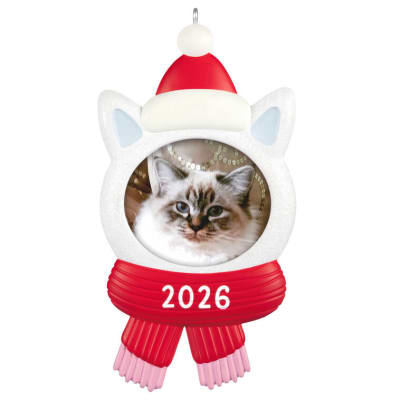 Snow Cat 2026 Photo Frame Ornament