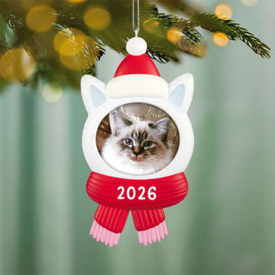 Snow Cat 2026 Photo Frame Ornament