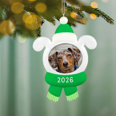 Snow Dog 2026 Photo Frame Ornament