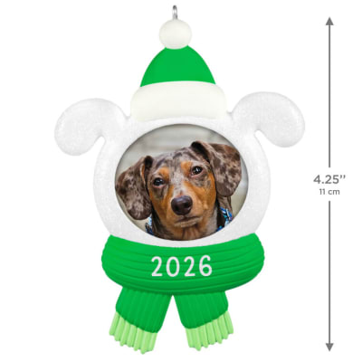 Snow Dog 2026 Photo Frame Ornament
