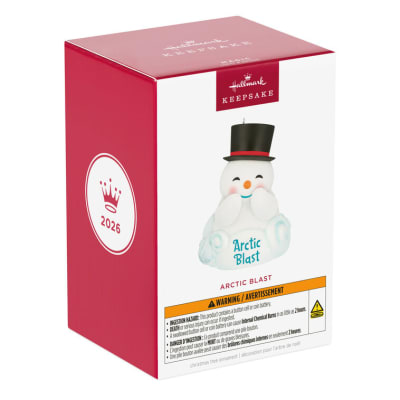 Arctic Blast Ornament With Light and Sound