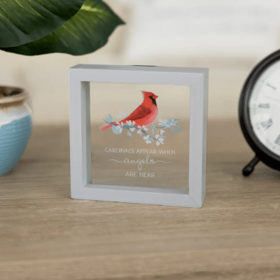 Always By Your Side Memorial 'Cardinals Appear Angels Are Near' Framed Glass Plaque