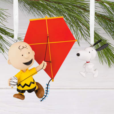 Peanuts® Charlie Brown and Snoopy Hallmark Ornaments, Set of 2