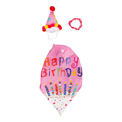 Giddy the Goose | Porch Goose Outfit, Birthday Girl