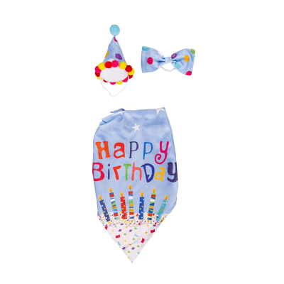 Giddy the Goose | Porch Goose Outfit, Birthday Boy