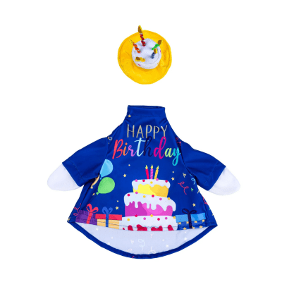 Giddy the Goose | Porch Goose Outfit, Birthday Celebration