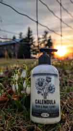 calendula hand and body lotion