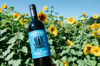 2019 Social Cabernet Merlot Case Sale