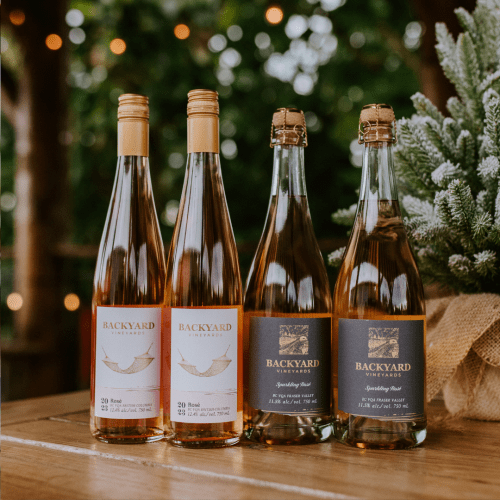 Pink Perfection - 4 Pack