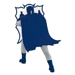 Batman™ The Classic TV Series Behind the Bat-Shield™ Keepsake
