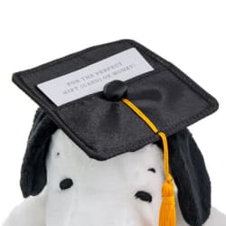 Peanuts® 2026 Snoopy in Grad Cap Plush, 7.5