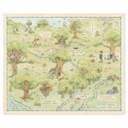 Disney Winnie the Pooh Hundred Acre Wood Map Throw Blanket, 60x52