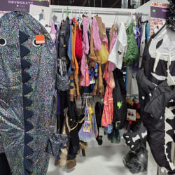 Halloween Costumes